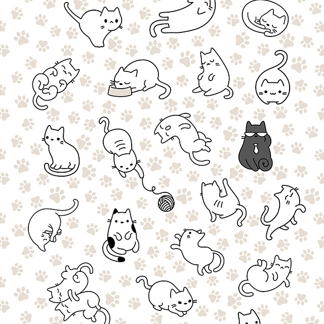 Котики 5563 Котики 5563